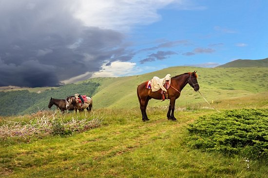 Parc national biogradska Gora