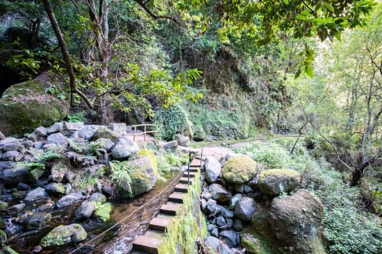 Levada Mill