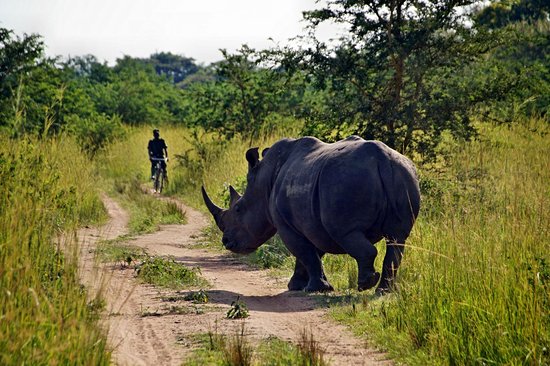 Réserve de rhinocéros de Ziwa