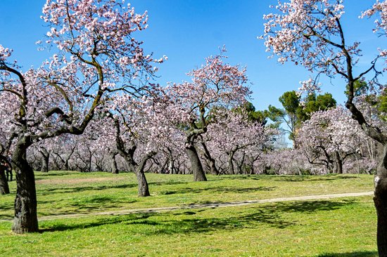 Quinta de los Molinos park
