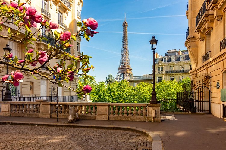 Paris - France
