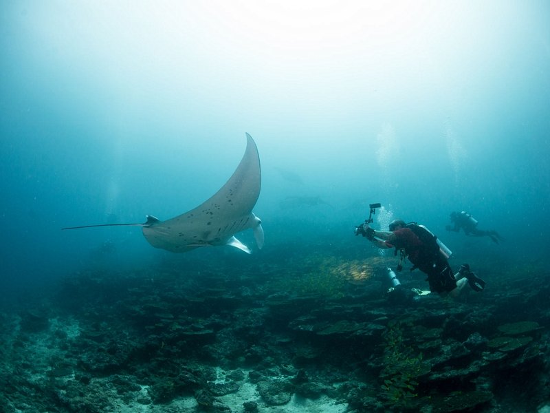 Ari Atoll