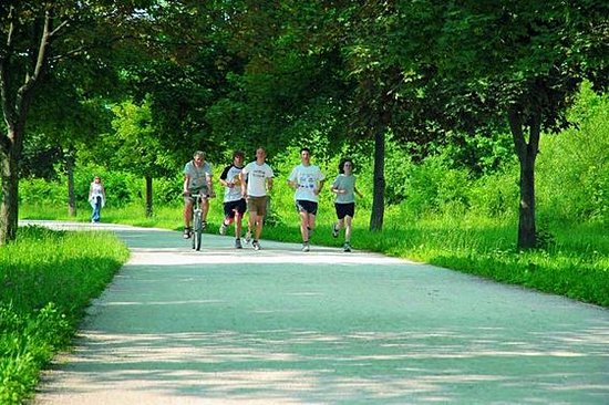 Parcourir à pied le Chemin du Souvenir et de l'Amitié à Ljubljana  