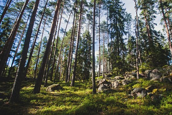 Parc national de Repovesi