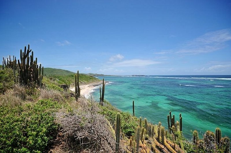 plage L’Anse Grosse Roche