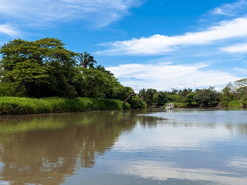 Puerto Viejo de Sarapiqui