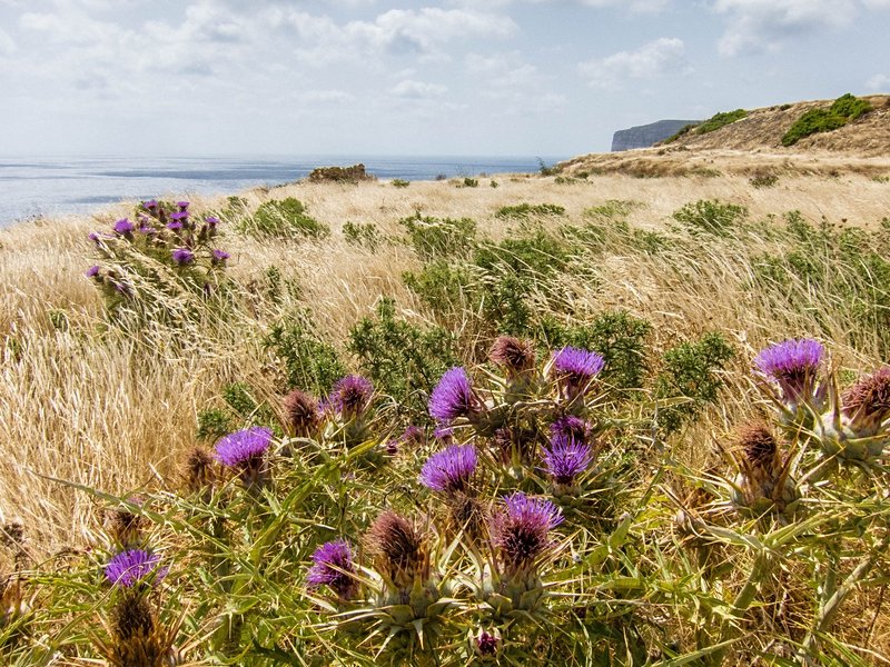 L’île de Gozo
