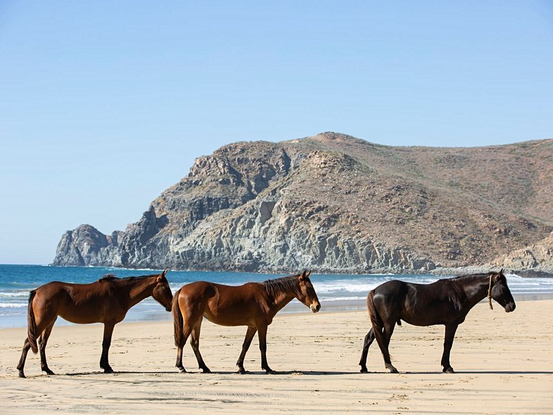 Todos Santos