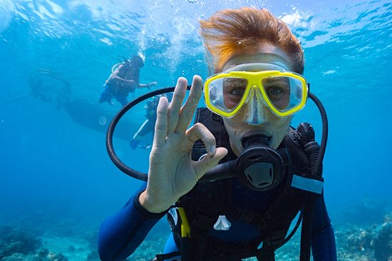 Plongée sous-marine et snorkeling