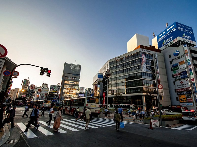 Les quartiers oubliés des touristes à Tokyo