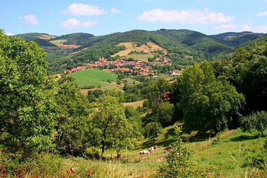 Les monts du Lyonnais