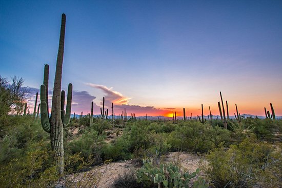 Tucson