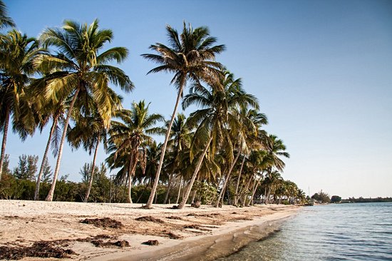 Playa Larga
