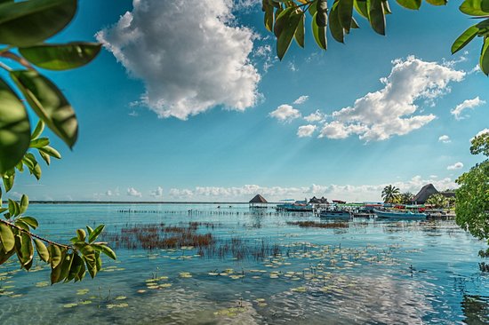 Bacalar