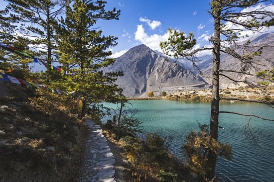 Trek dans les Annapurnas