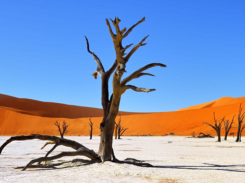 Sossusvlei