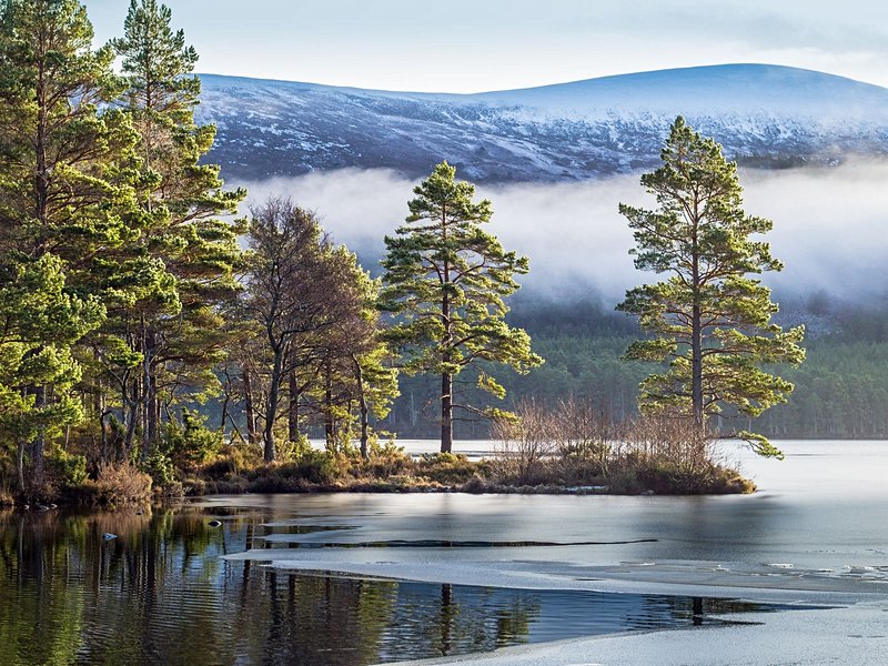 Cairngorms