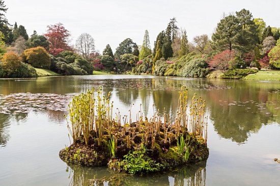 Sheffield Park