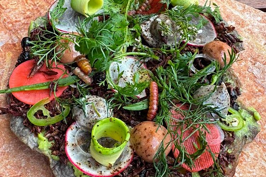 Savourer les mets locaux dans les restaurants d’Oaxaca