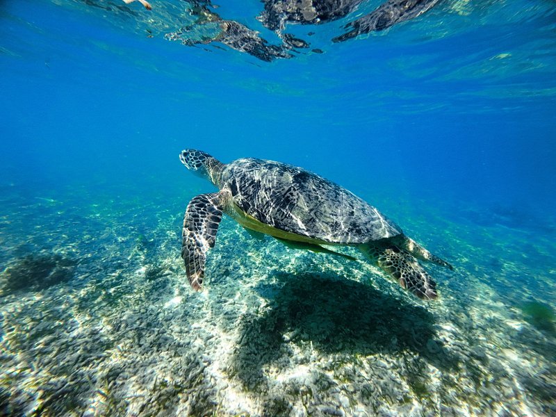 Gili Meno