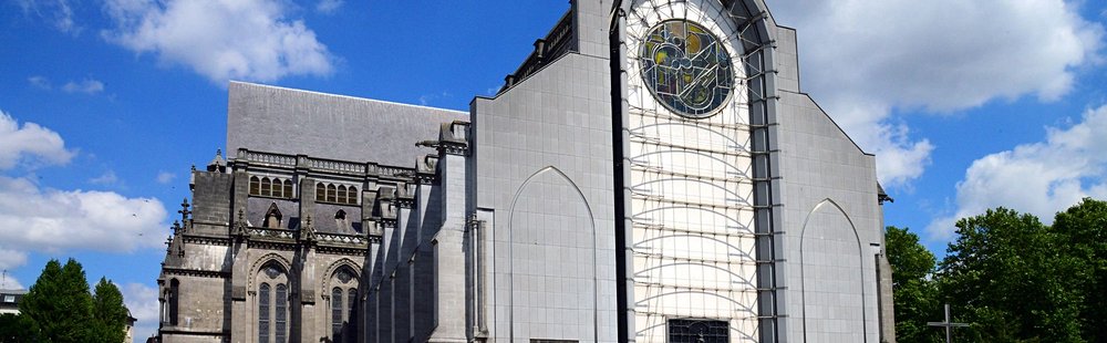 La cathédrale Notre-Dame-de-la-Treille