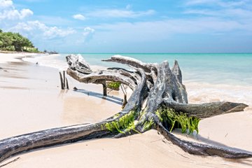Cayo Jutías