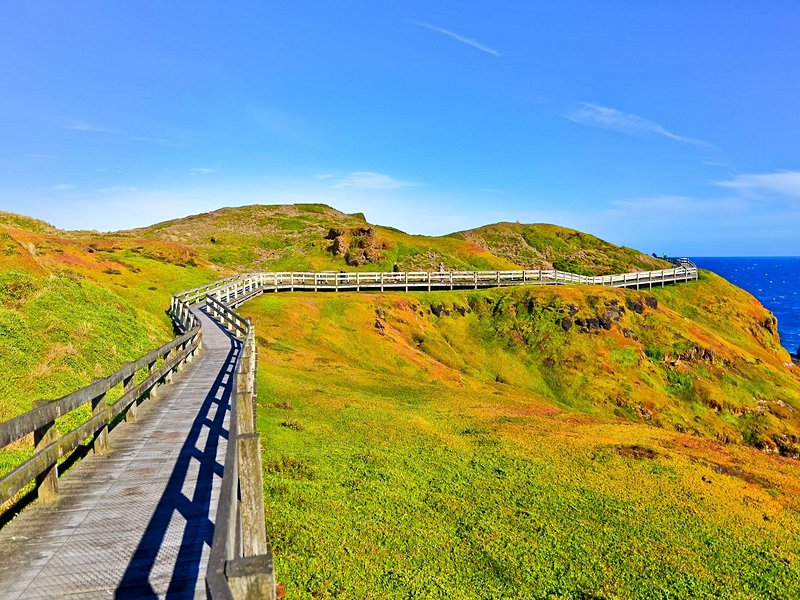 Phillip Island