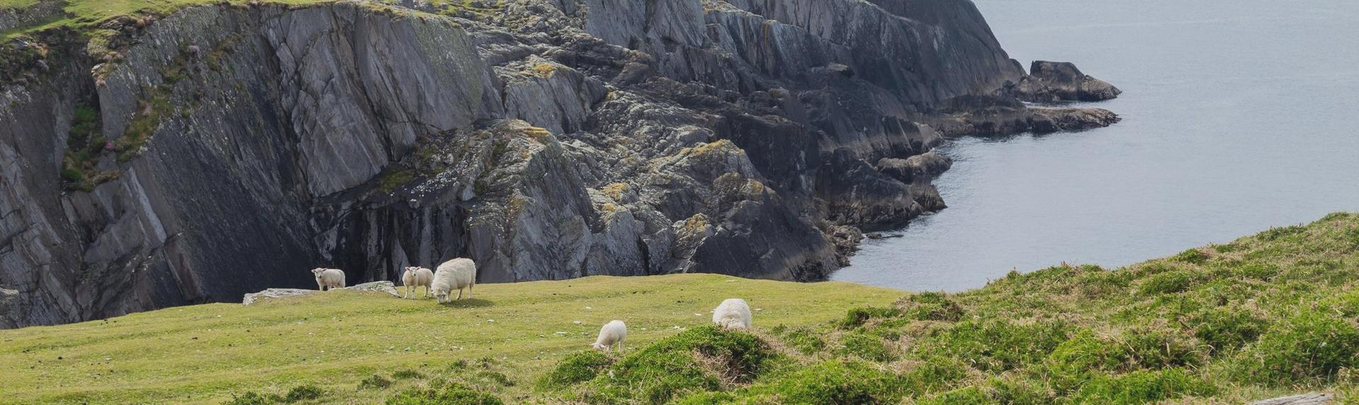 Irlande
