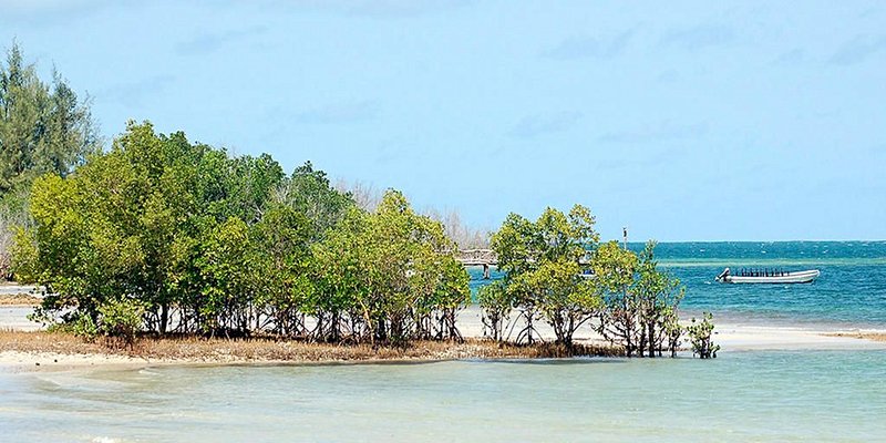 plage Funzi island