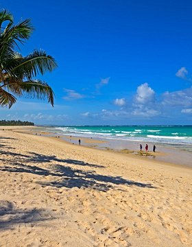 Les plus beaux lieux de Diani Beach