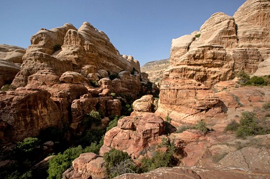 La réserve de Dana