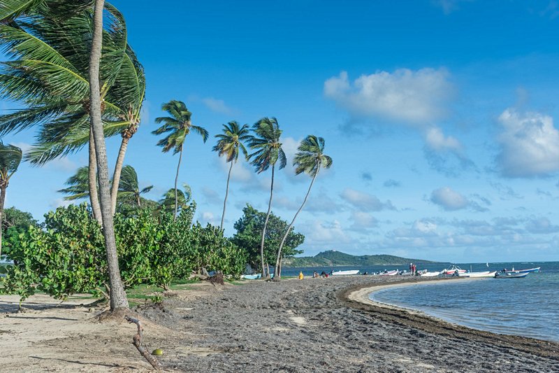 plage La Pointe Faula