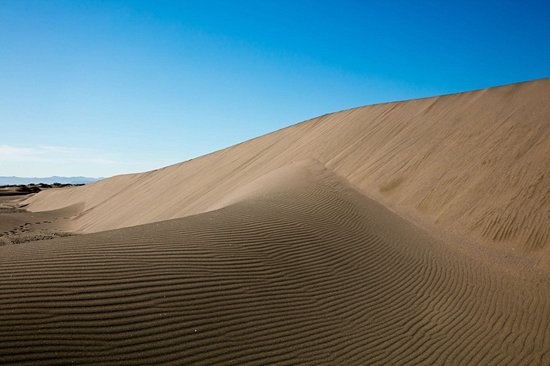 Surfer sur les dunes d'El Mogote