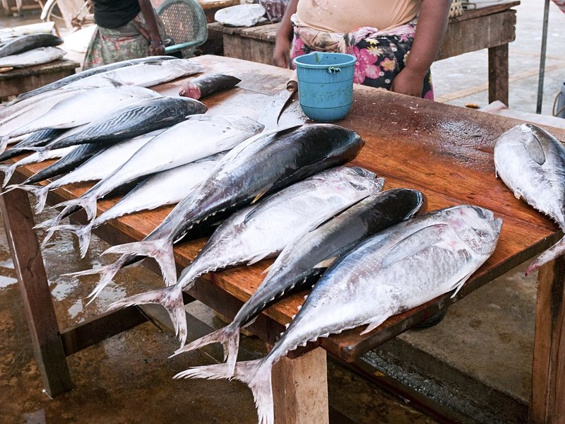 Marché aux poissons