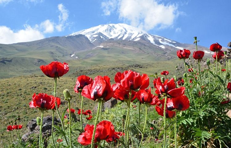 Le mont Damavand