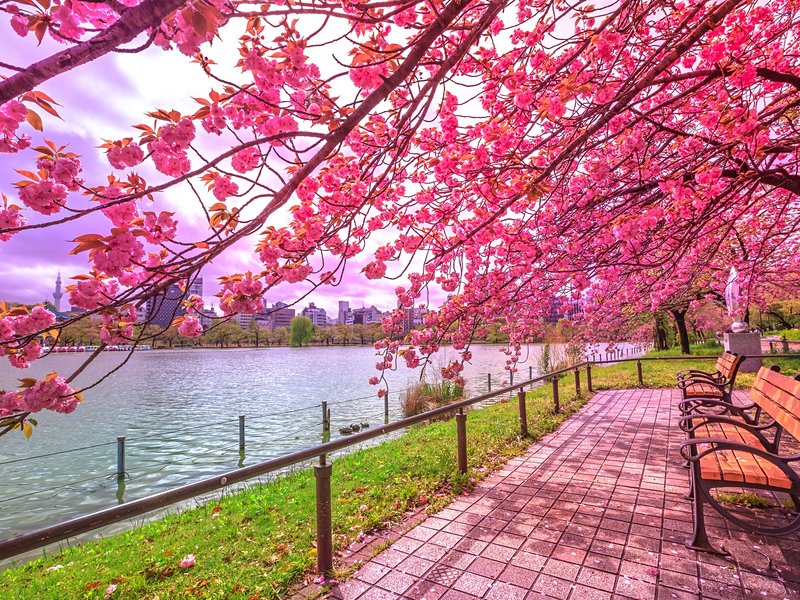 Le parc Ueno