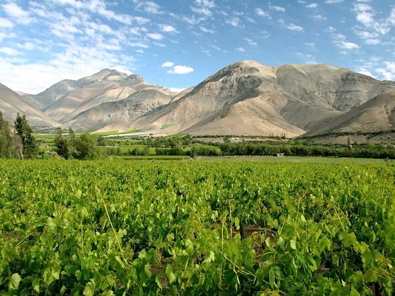Valle del Elqui