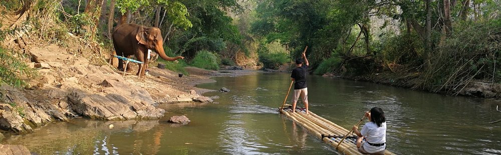 Trek à Chiang Mai : le Huai Pong Trail