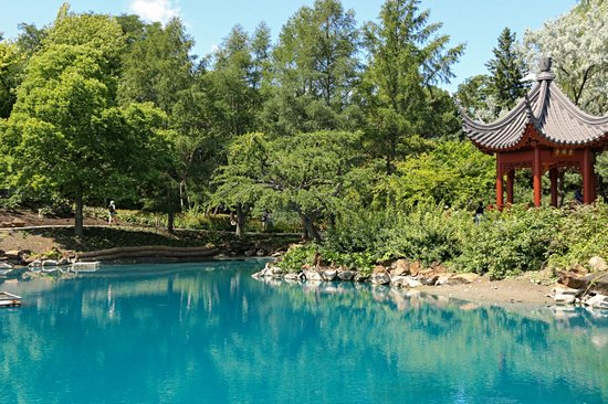 Le Jardin botanique