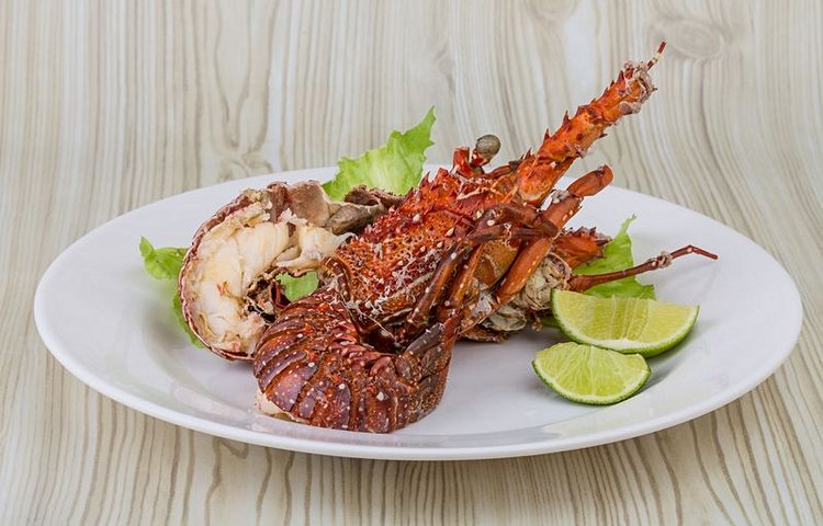 Langouste grillée