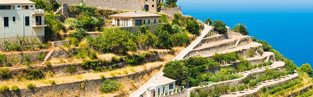 Le vignoble de Banyalbufar