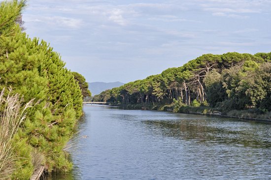 Parco Regionale Migliarino San Rossore